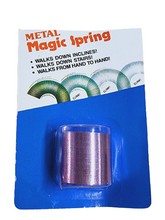 Load image into Gallery viewer, Slinky Metal Spring