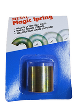Load image into Gallery viewer, Slinky Metal Spring