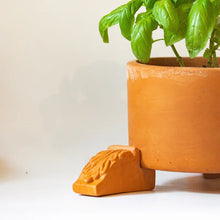 Load image into Gallery viewer, Terracotta Pot Feet