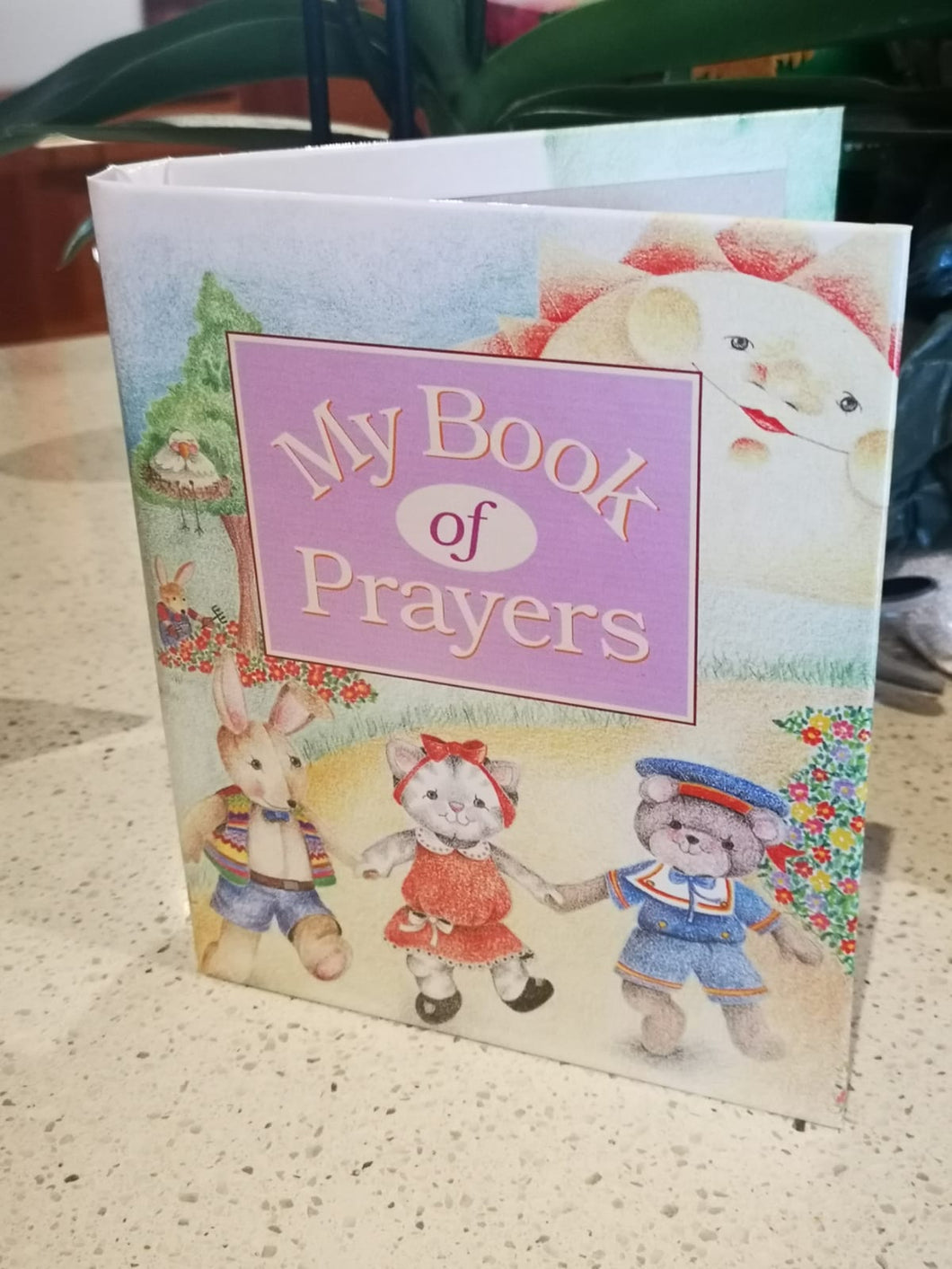 Personalised Story Book  -  My Book of Prayers
