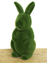 Load image into Gallery viewer, Moss Bunnies -  Imitation Grass
