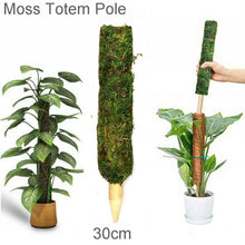 Load image into Gallery viewer, MOSS TOTEM POLE
